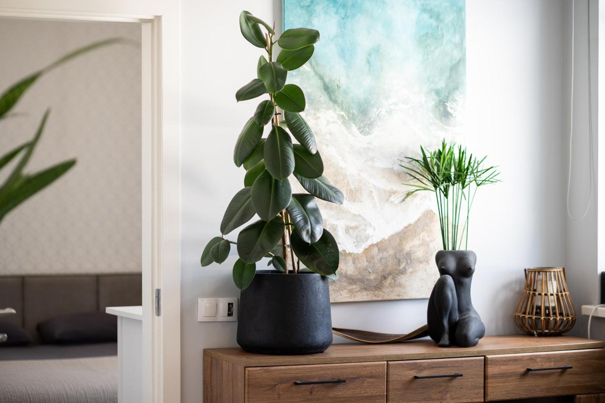 Old Town Apartment Klaipeda Free Parking Ngoại thất bức ảnh